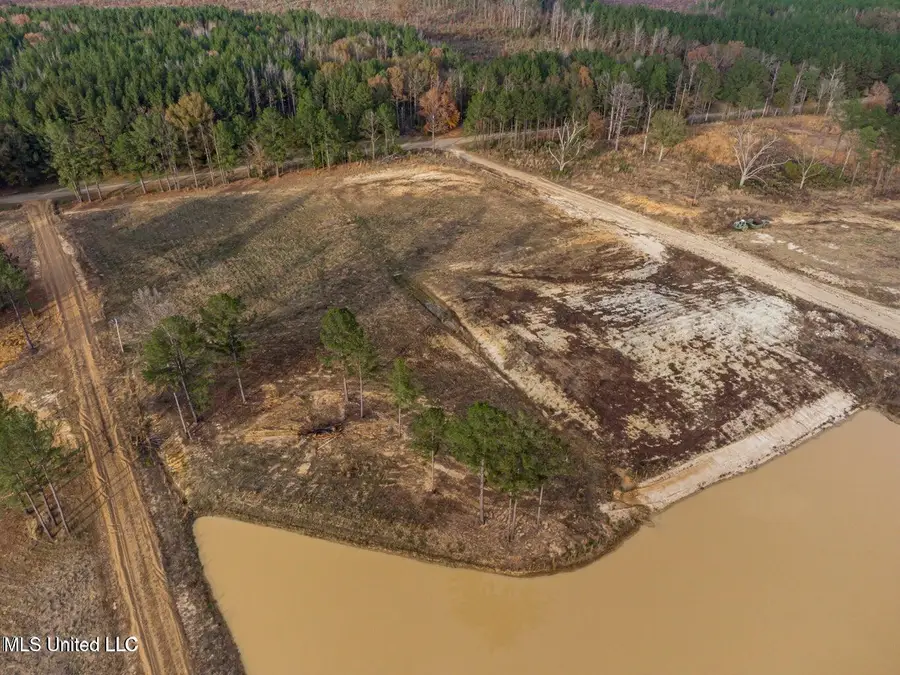 Sulphur Springs Road, Canton, MS 39046 - Image #2