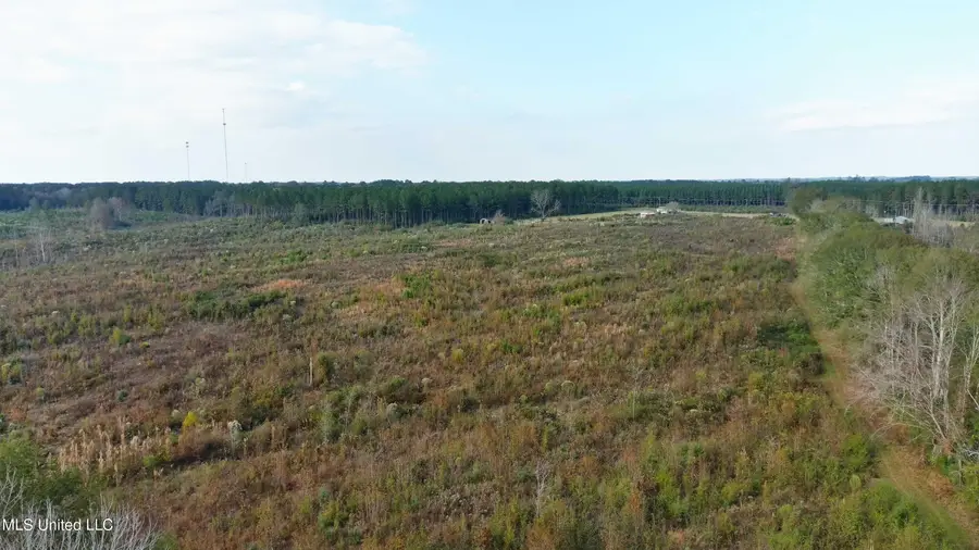 Grandview Lane, Bogue Chitto, MS 39629 - Image #3