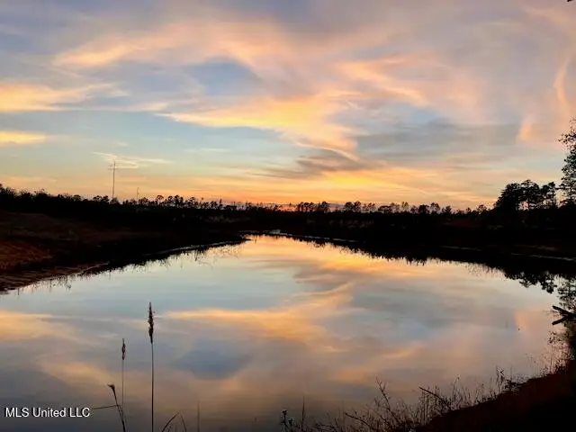 1906 SE Wildwood Lane, Ruth, MS 39662 - Image #2