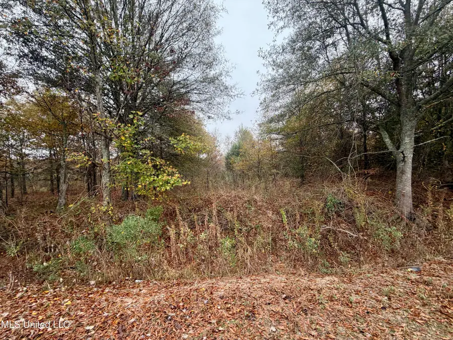 Fairview Road, Charleston, MS 38921 - Image #2