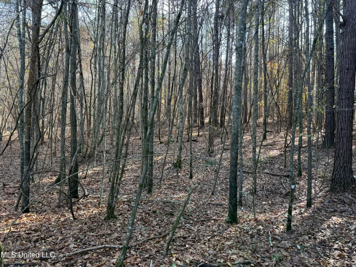 000 Greenland Road, Little Rock, MS 39337 - Image #1