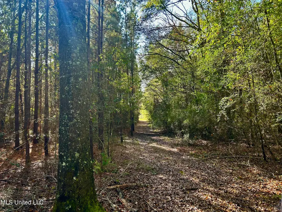 Watts Ln Northwest, Brookhaven, MS 39601 - Image #2