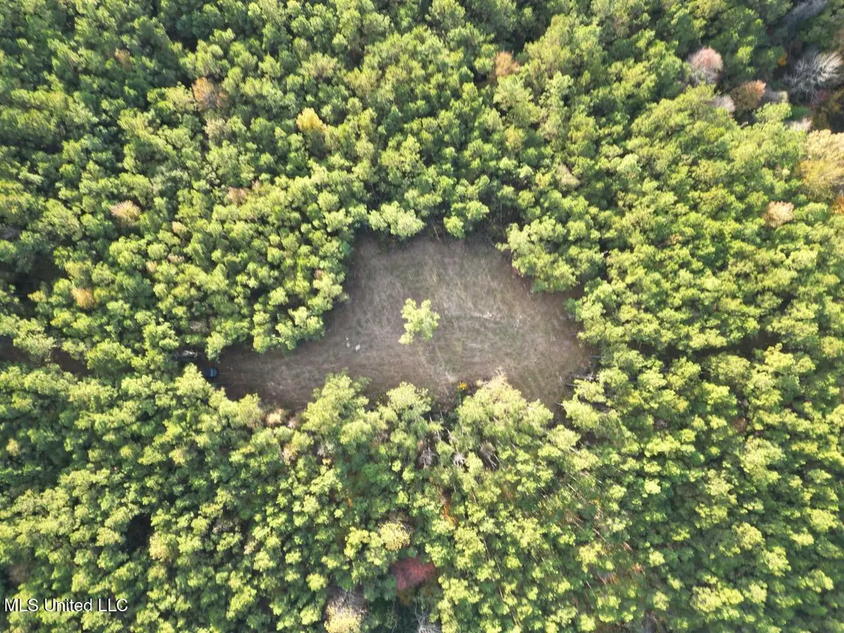 1 N Will Floyd Road, Crosby, MS 39633 - Image #1