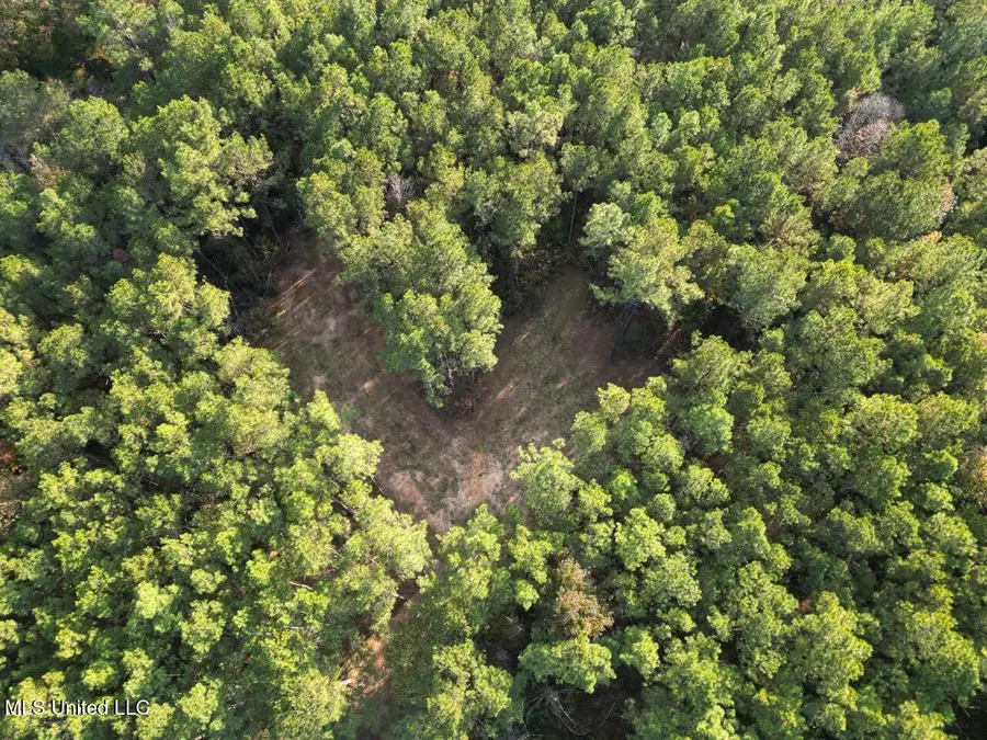 1 N Will Floyd Road, Crosby, MS 39633 - Image #2