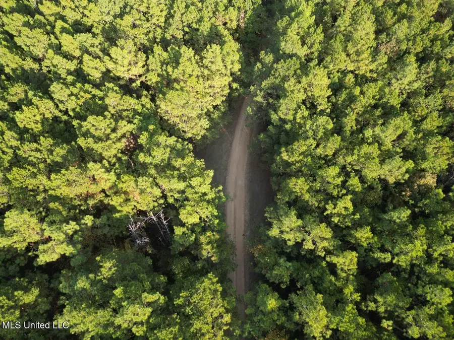 1 N Will Floyd Road, Crosby, MS 39633 - Image #3