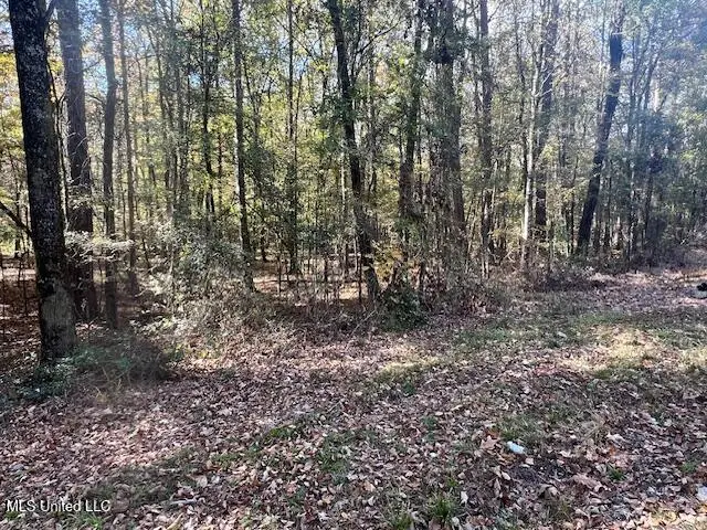 0 Pelahatchie Road, Pelahatchie, MS 39145 - Image #2