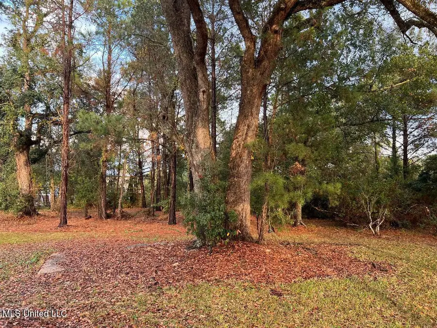 320 Coleman Avenue, Waveland, MS 39576 - Image #3