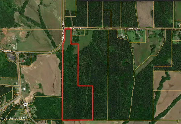 Cr 7, Myrtle, MS 38650