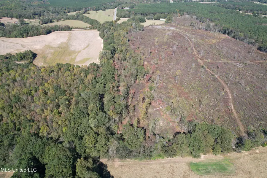 Cr 7, Myrtle, MS 38650 - #3