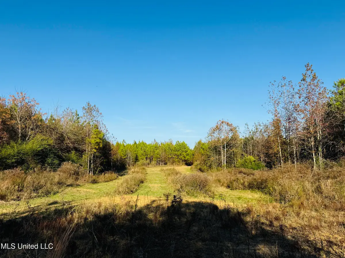 Attala County Road 4210, Sallis, MS 39160 - Image #1