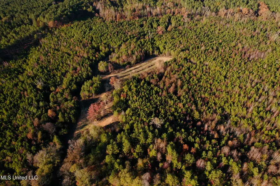 Attala County Road 4210, Sallis, MS 39160 - Image #3