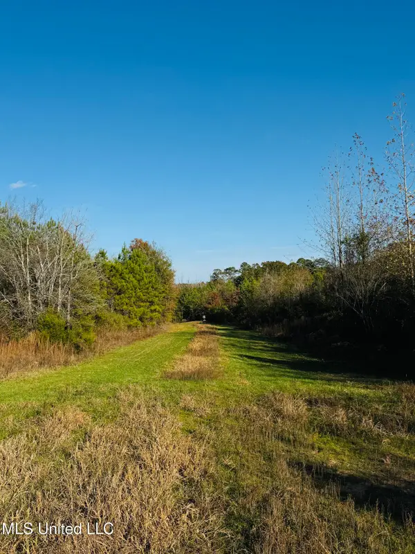 Attala County Road 4210, Sallis, MS 39160
