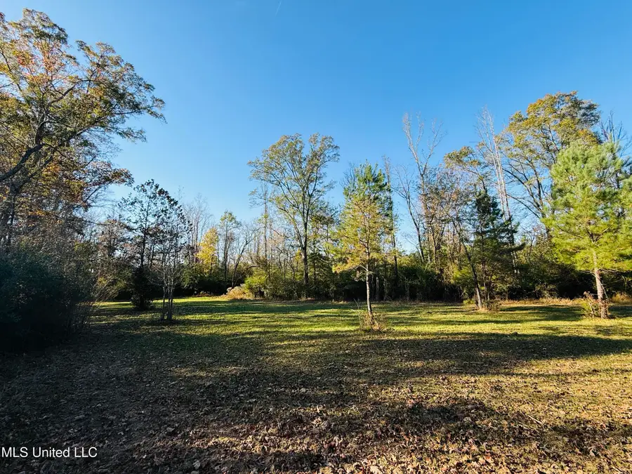 Attala County Road 4210, Sallis, MS 39160 - Image #3