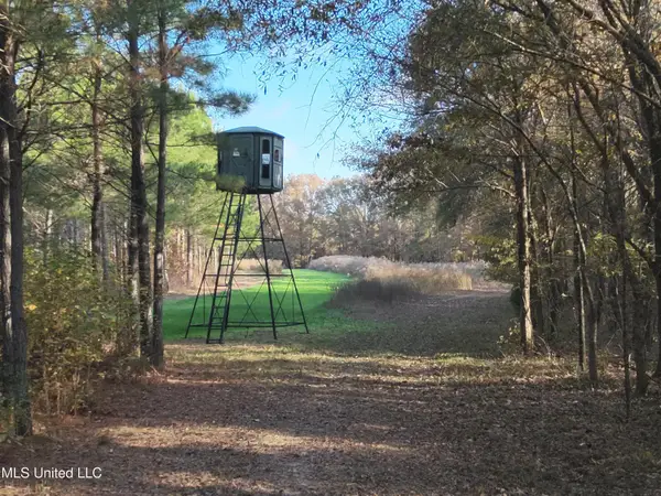 Paradise Road, Bentonia, MS 39040