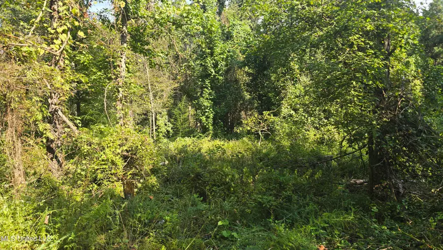 00 Nelson Corner Road, Roxie, MS 39661 - Image #2