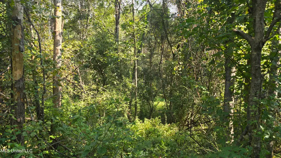 00 Nelson Corner Road, Roxie, MS 39661 - Image #3