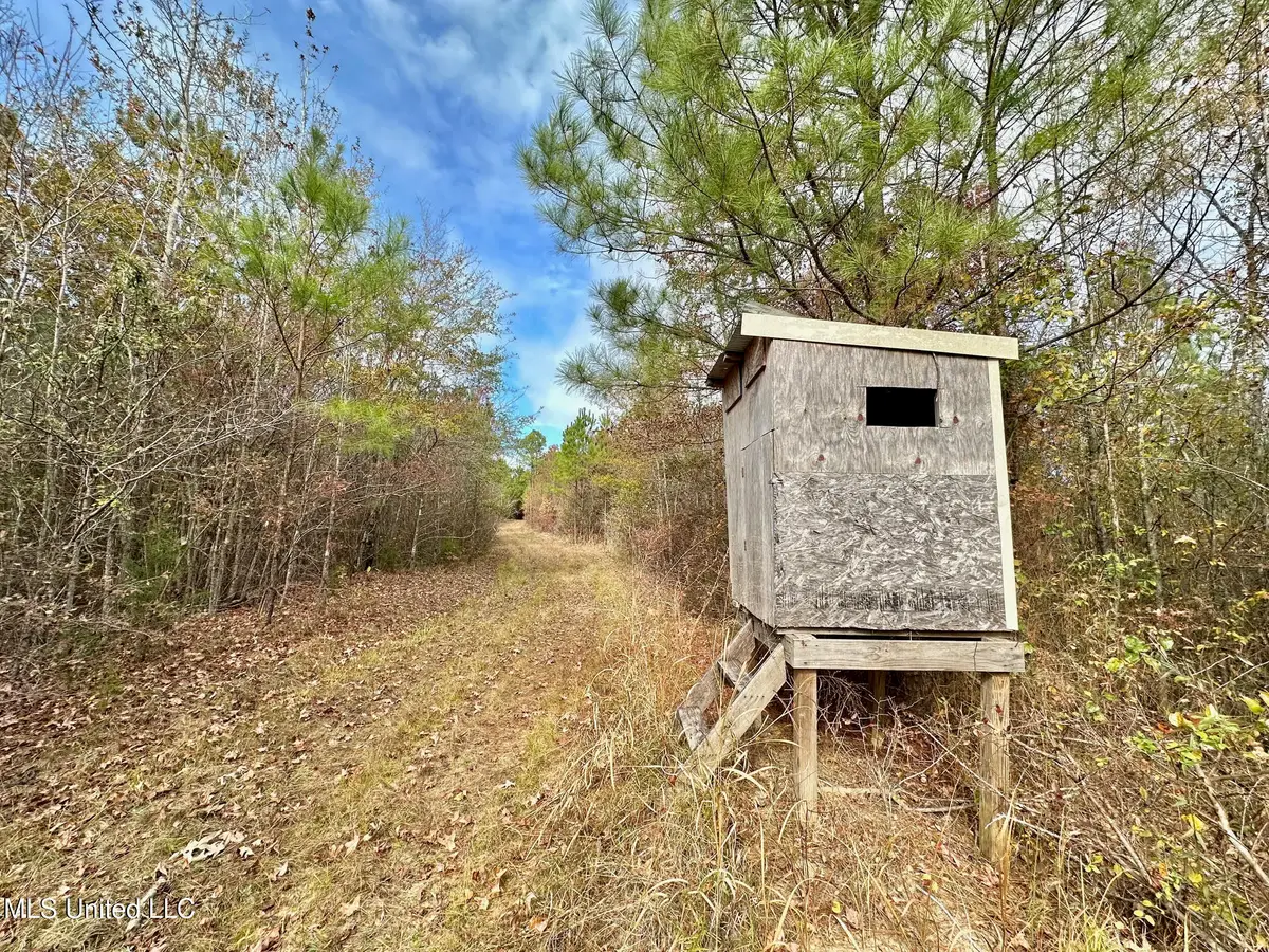 2 County Road 3122, McCool, MS 39108 - Image #1