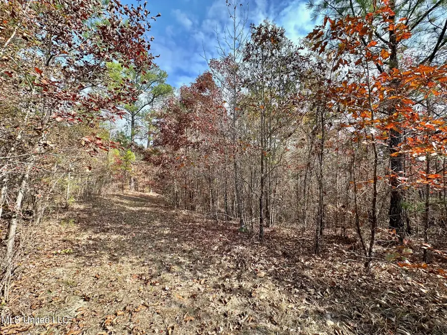 3 County Road 3122, McCool, MS 39108 - Image #3