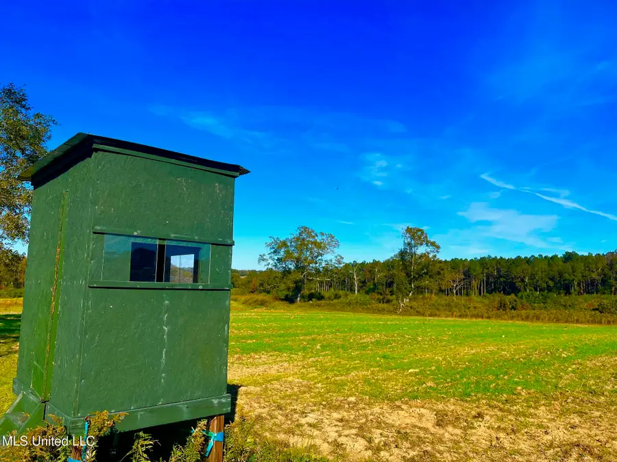 Darbun China Grove Road, Sandy Hook, MS 39478 - Image #2