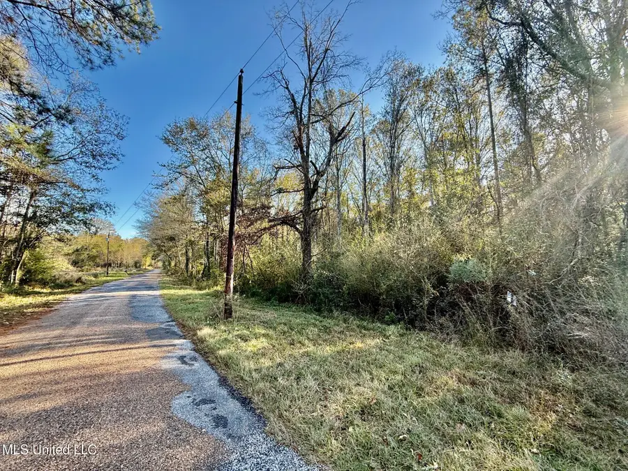 SW Lin Frank Line Road, Smithdale, MS 39664 - Image #2