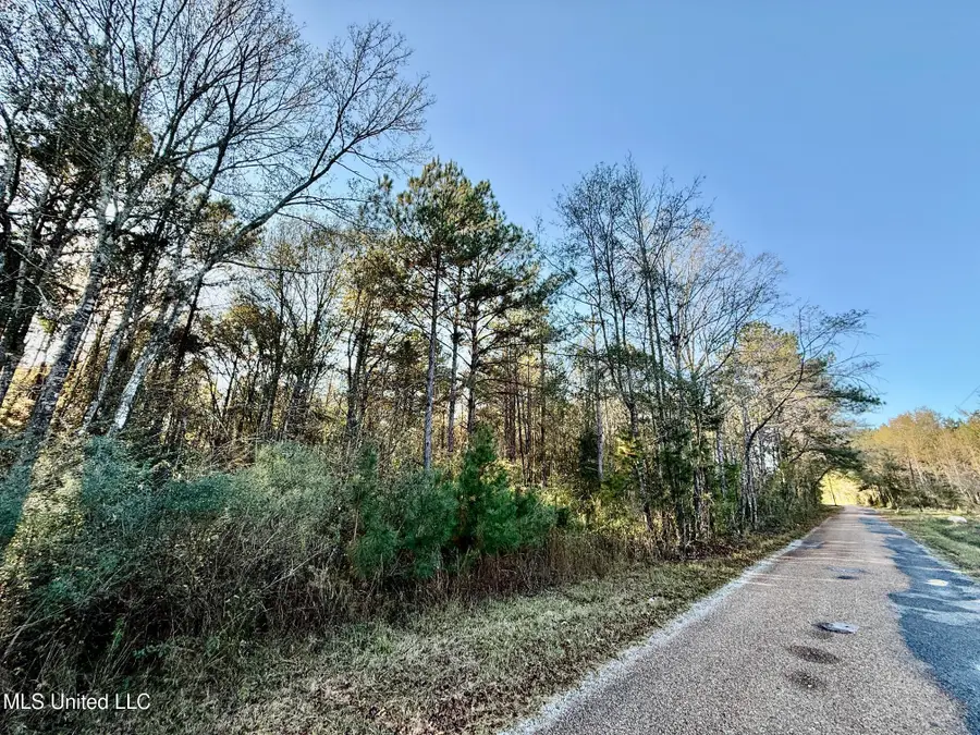 SW Lin Frank Line Road, Smithdale, MS 39664 - Image #3