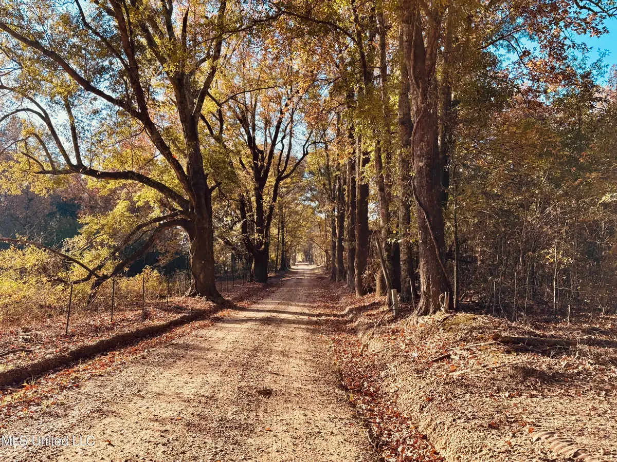 Mayer Road, Bentonia, MS 39040 - Image #1