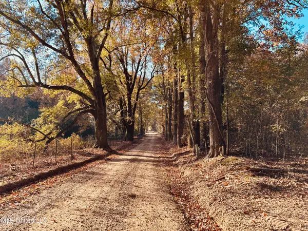 Mayer Road, Bentonia, MS 39040