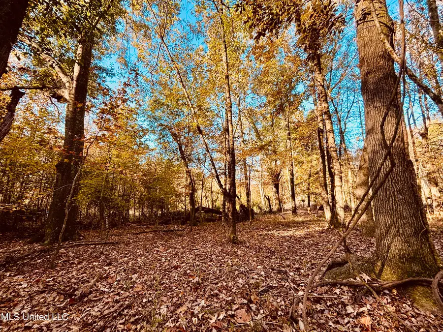 Mayer Road, Bentonia, MS 39040 - Image #2