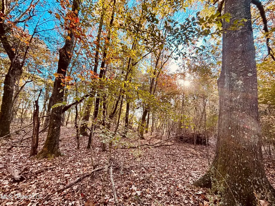 Mayer Road, Bentonia, MS 39040 - Image #3