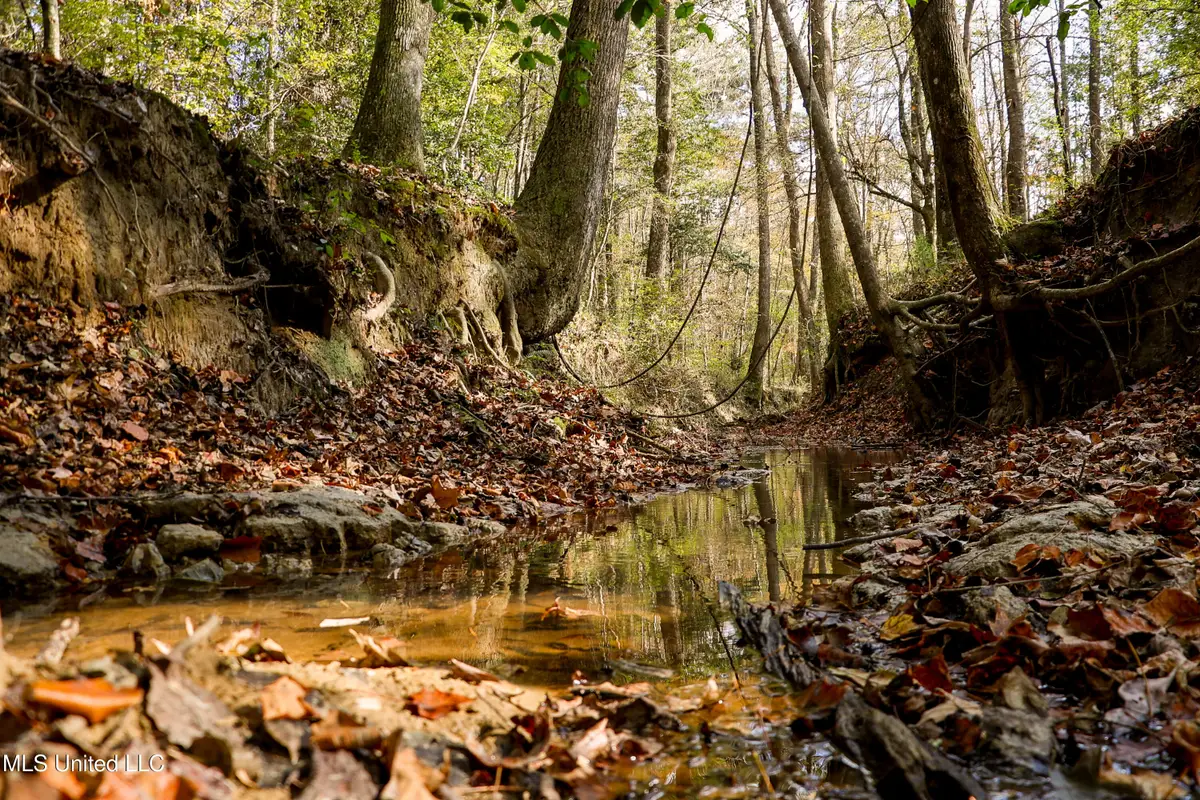 Les Harwell Road, Collinsville, MS 39325 - #1