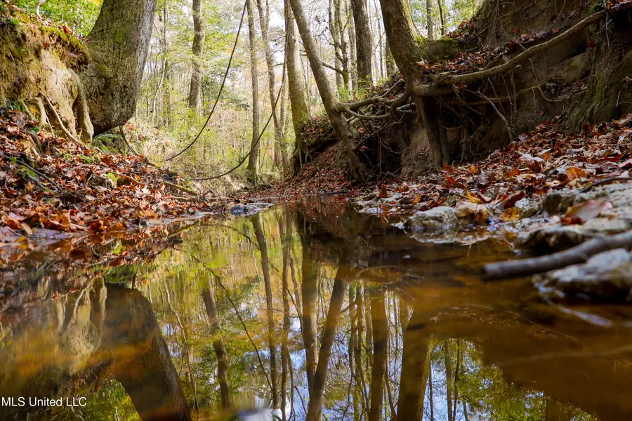 Les Harwell Road, Collinsville, MS 39325 - #2