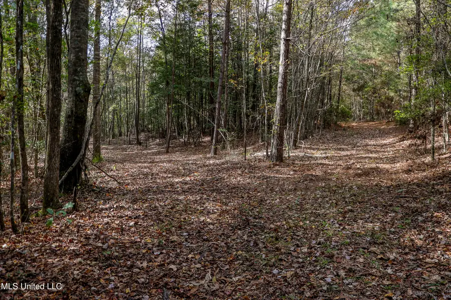 Les Harwell Road, Collinsville, MS 39325 - #3