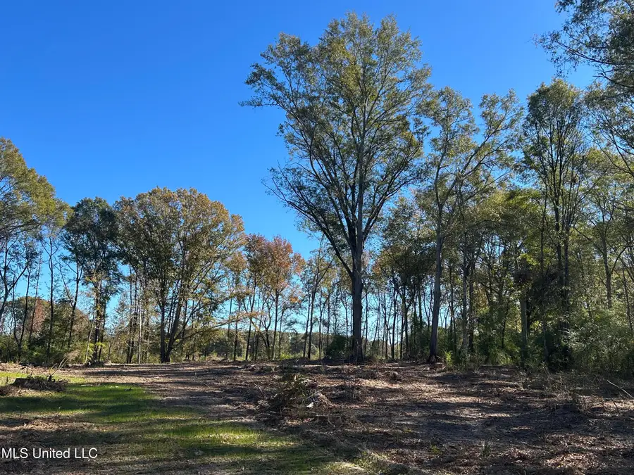No Warren Cook Road, Mendenhall, MS 39114 - Image #3