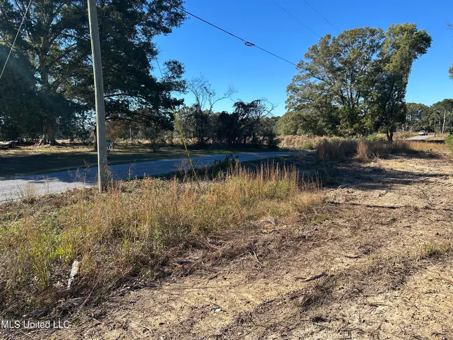 Warren Cook Road, Mendenhall, MS 39114 - Image #2