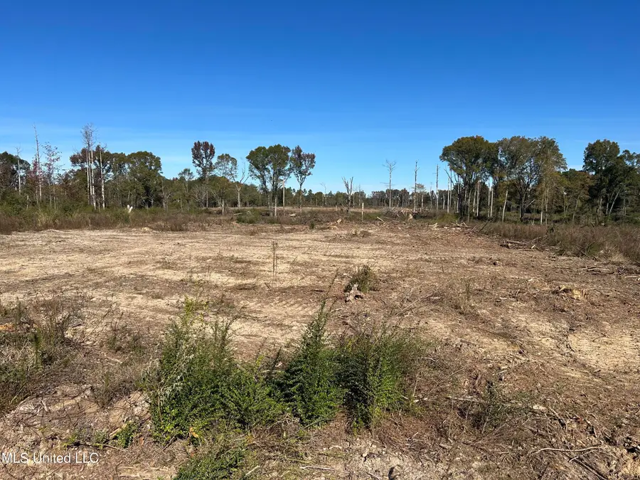 Warren Cook Road, Mendenhall, MS 39114 - Image #3