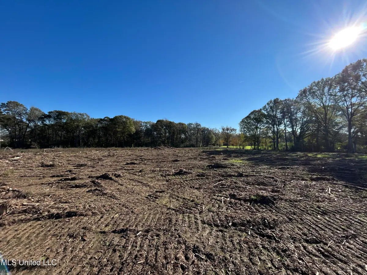 Warren Cook Road, Mendenhall, MS 39114 - Image #1