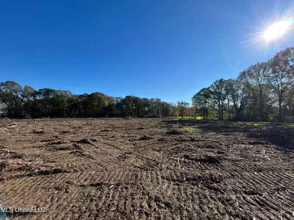 Warren Cook Road, Mendenhall, MS 39114