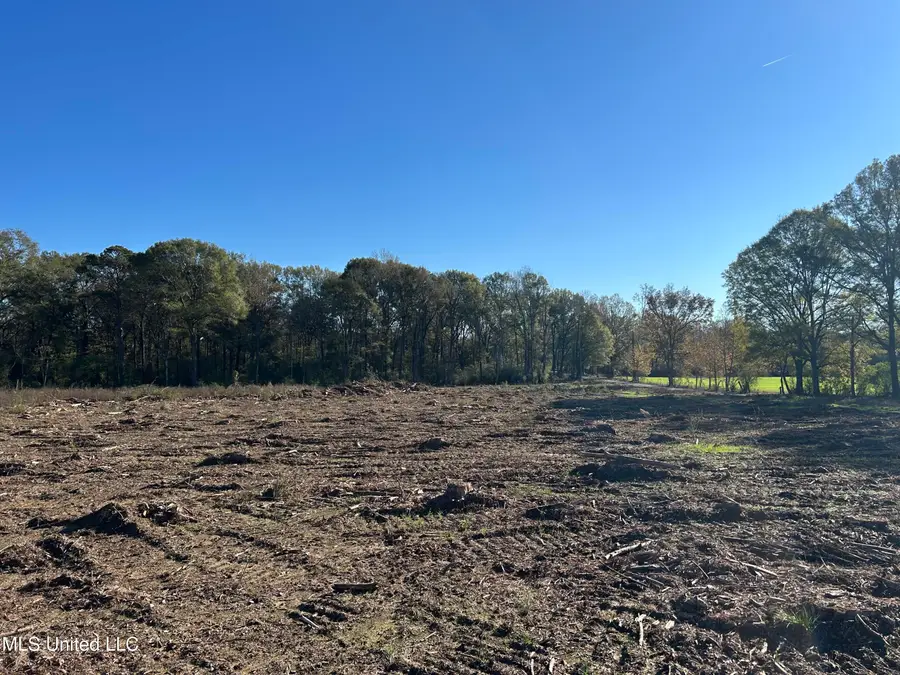 Warren Cook Road, Mendenhall, MS 39114 - Image #2