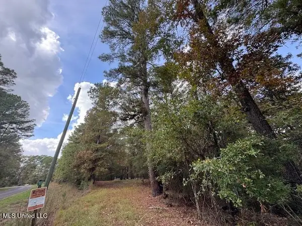 Coons Mill Road, Centreville, MS 39631