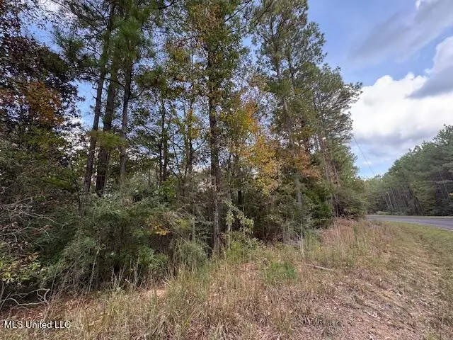 Coons Mill Road, Centreville, MS 39631 - Image #3