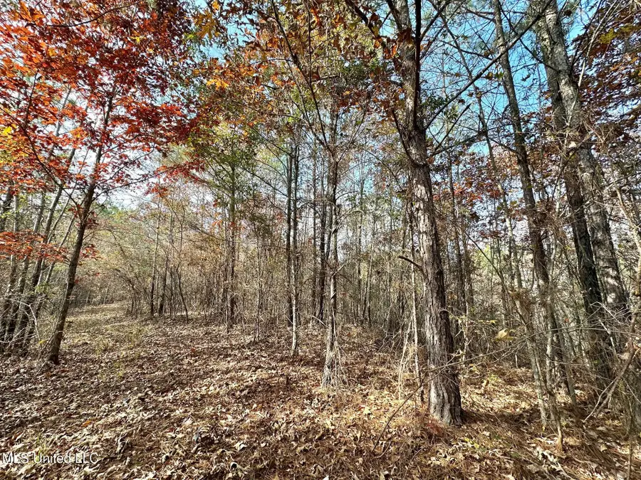 5 County Road 3122, McCool, MS 39108 - Image #2