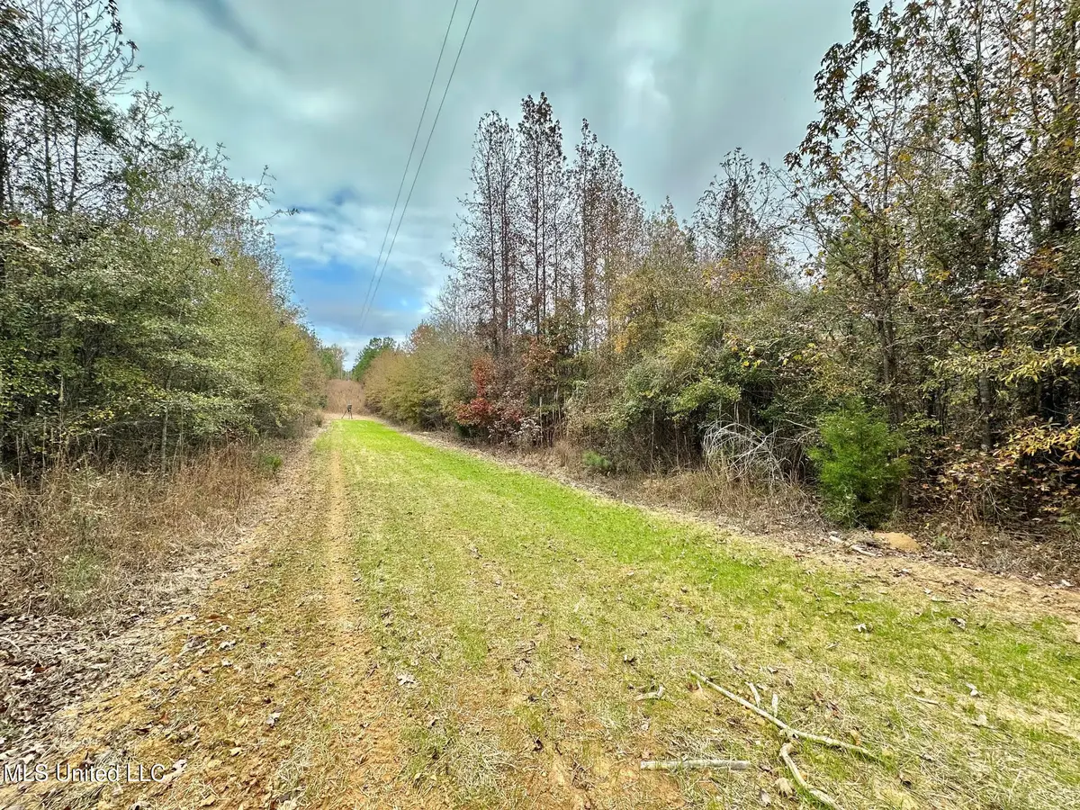 6 County Road 3122, McCool, MS 39108 - Image #1
