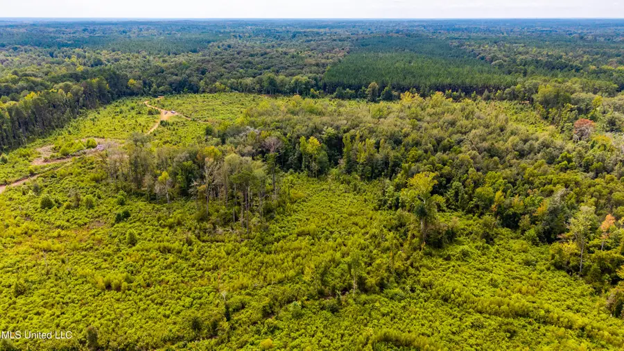 0 Raytown Road, Canton, MS 39046 - Image #2