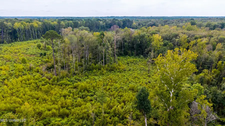 0 Raytown Road, Canton, MS 39046 - Image #3