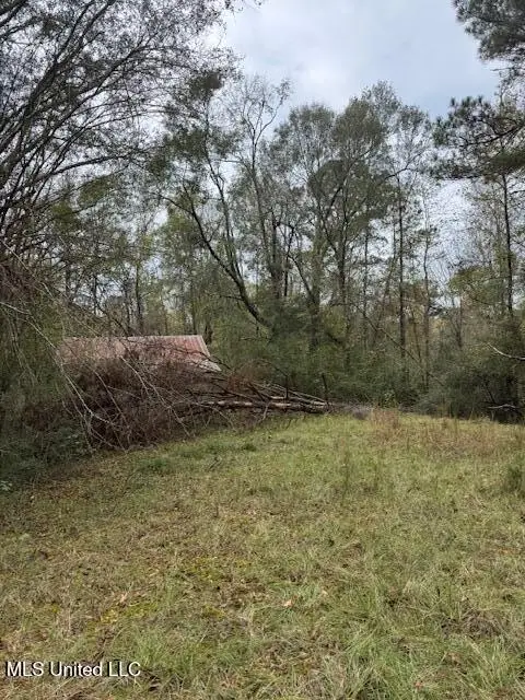 00 Coons Mill Road, Centreville, MS 39631 - Image #1