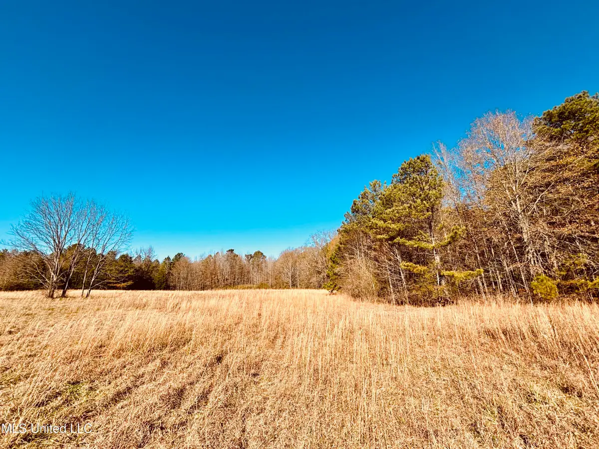 Mississippi 12, Durant, MS 39063 - Image #1