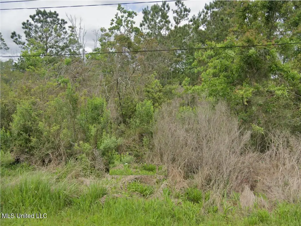 Bayou View Drive, Bay Saint Louis, MS 39520 - Image #1