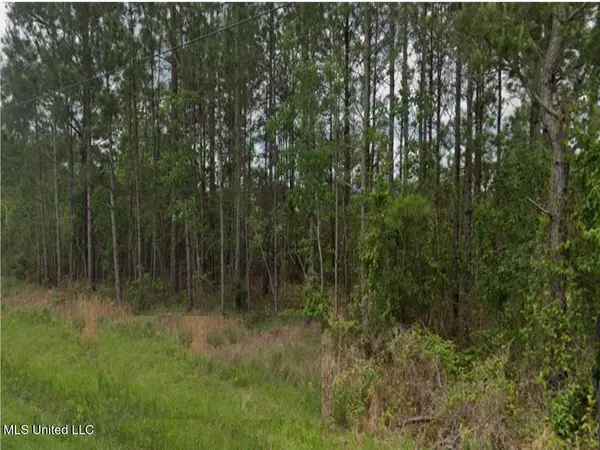 Cardinal Street, Bay Saint Louis, MS 39520