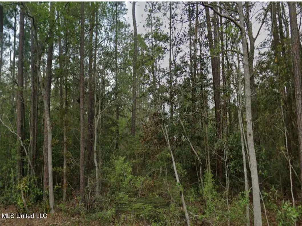 Erie St, Bay Saint Louis, MS 39520 - Image #1