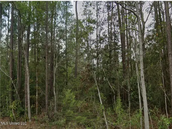 Erie St, Bay Saint Louis, MS 39520